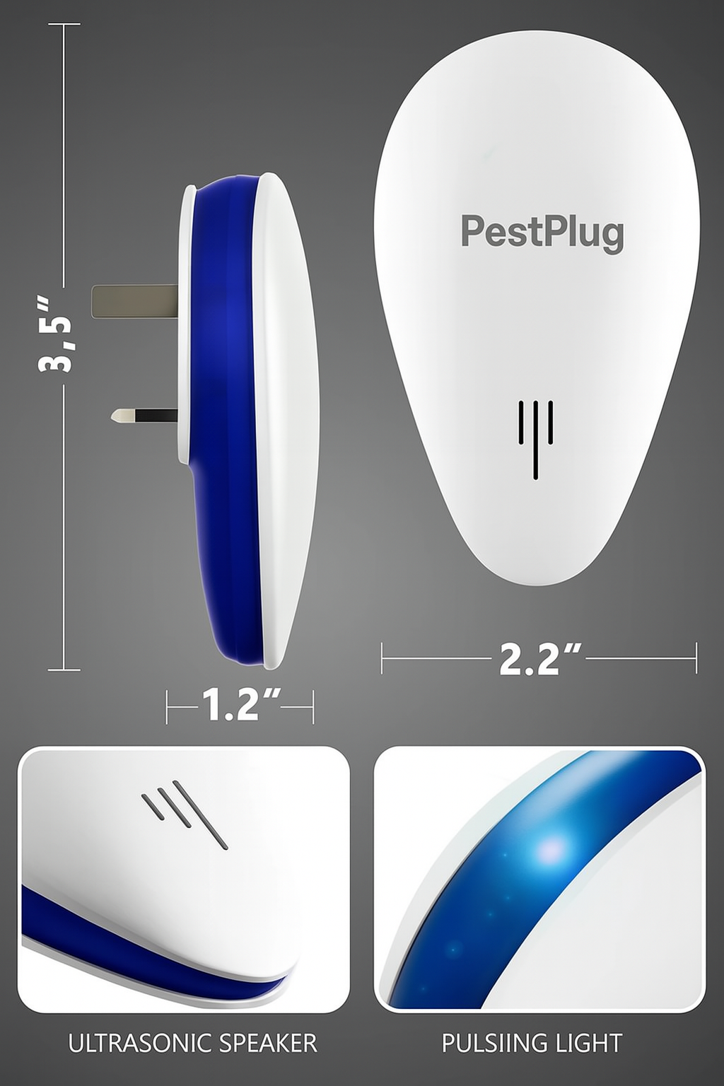 Transform Your Home into a Pest-Free Sanctuary